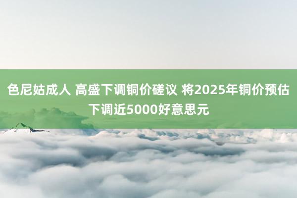 色尼姑成人 高盛下调铜价磋议 将2025年铜价预估下调近5000好意思元