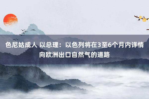 色尼姑成人 以总理：以色列将在3至6个月内详情向欧洲出口自然气的道路