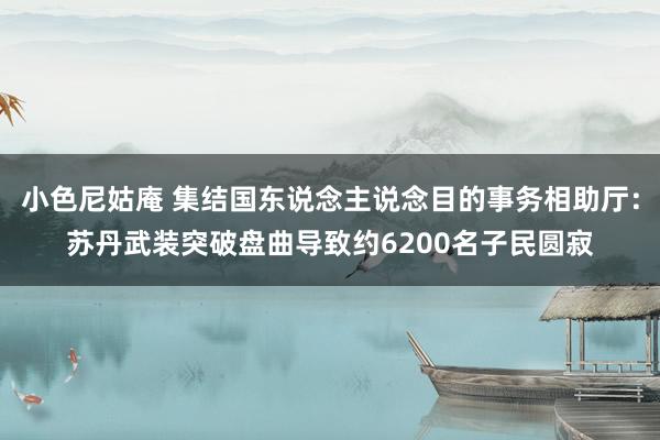 小色尼姑庵 集结国东说念主说念目的事务相助厅：苏丹武装突破盘曲导致约6200名子民圆寂