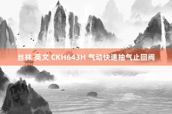 丝袜 英文 CKH643H 气动快速抽气止回阀