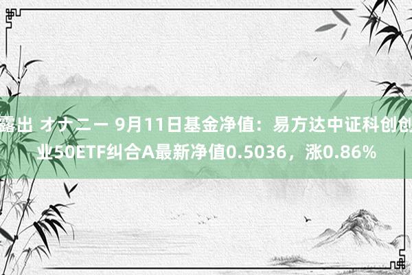 露出 オナニー 9月11日基金净值：易方达中证科创创业50ETF纠合A最新净值0.5036，涨0.8