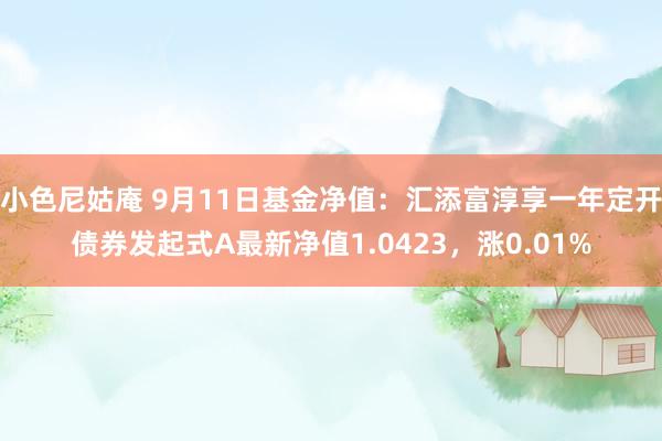 小色尼姑庵 9月11日基金净值：汇添富淳享一年定开债券发起式A最新净值1.0423，涨0.01%