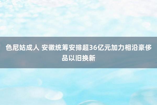 色尼姑成人 安徽统筹安排超36亿元加力相沿豪侈品以旧换新