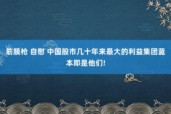 筋膜枪 自慰 中国股市几十年来最大的利益集团蓝本即是他们!