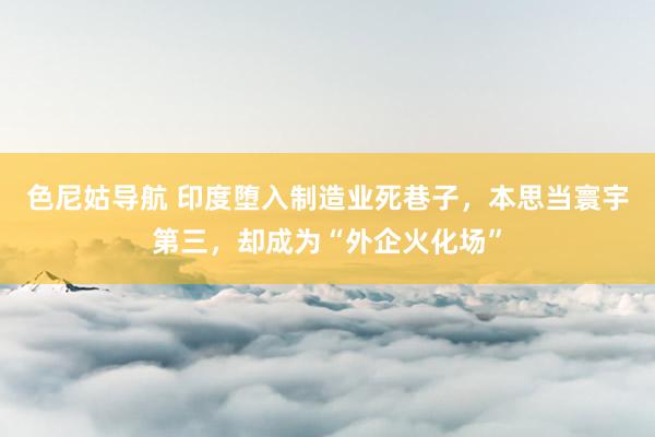 色尼姑导航 印度堕入制造业死巷子，本思当寰宇第三，却成为“外企火化场”