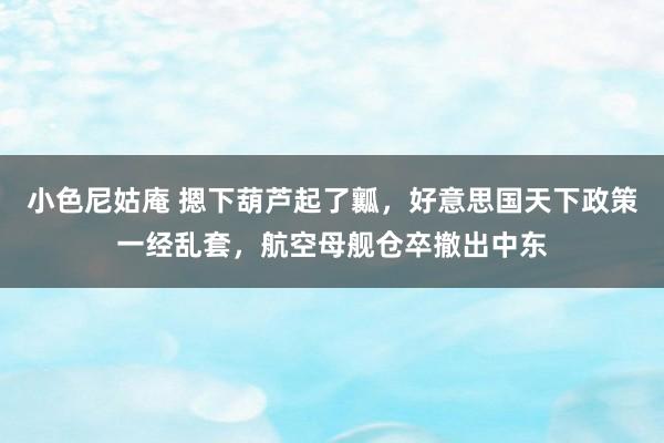 小色尼姑庵 摁下葫芦起了瓤，好意思国天下政策一经乱套，航空母舰仓卒撤出中东