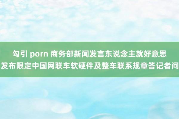 勾引 porn 商务部新闻发言东说念主就好意思发布限定中国网联车软硬件及整车联系规章答记者问