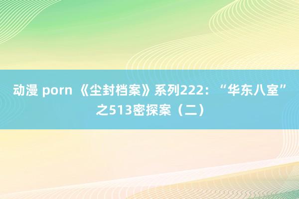 动漫 porn 《尘封档案》系列222：“华东八室”之513密探案（二）