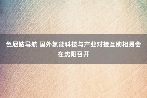 色尼姑导航 国外氢能科技与产业对接互助相易会在沈阳召开