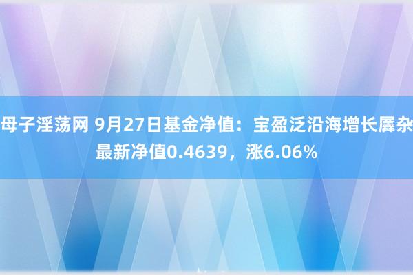 母子淫荡网 9月27日基金净值：宝盈泛沿海增长羼杂最新净值0.4639，涨6.06%