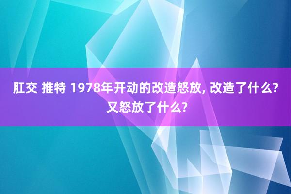 肛交 推特 1978年开动的改造怒放， 改造了什么? 又怒放了什么?