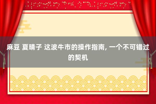 麻豆 夏晴子 这波牛市的操作指南, 一个不可错过的契机