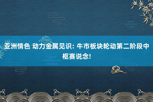 亚洲情色 动力金属见识: 牛市板块轮动第二阶段中枢赛说念!