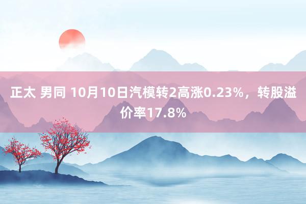 正太 男同 10月10日汽模转2高涨0.23%，转股溢价率17.8%