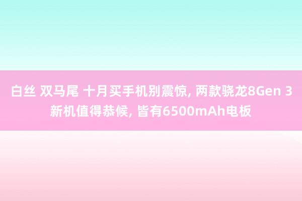 白丝 双马尾 十月买手机别震惊, 两款骁龙8Gen 3新机值得恭候, 皆有6500mAh电板