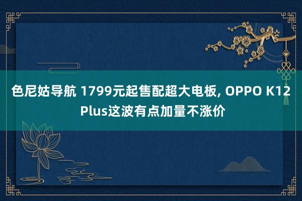 色尼姑导航 1799元起售配超大电板, OPPO K12 Plus这波有点加量不涨价