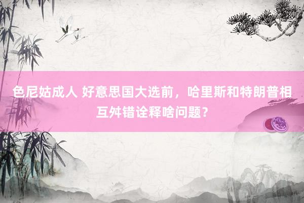 色尼姑成人 好意思国大选前，哈里斯和特朗普相互舛错诠释啥问题？