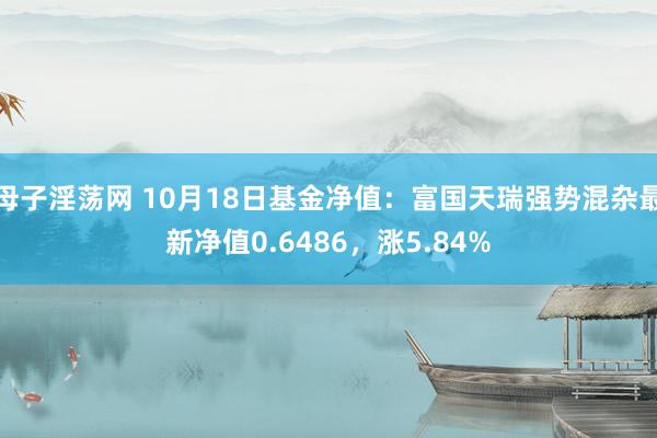 母子淫荡网 10月18日基金净值：富国天瑞强势混杂最新净值0.6486，涨5.84%