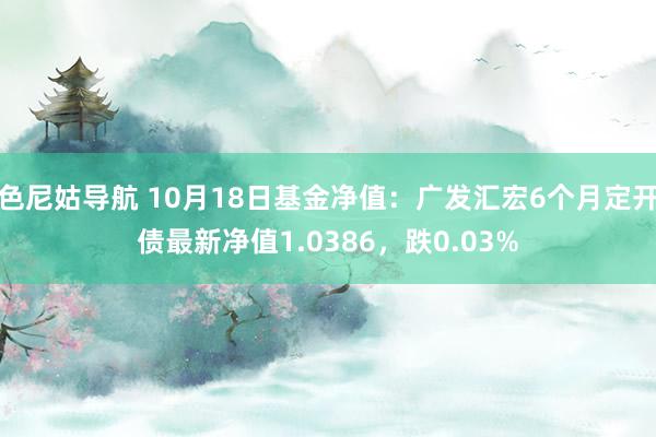 色尼姑导航 10月18日基金净值：广发汇宏6个月定开债最新净值1.0386，跌0.03%