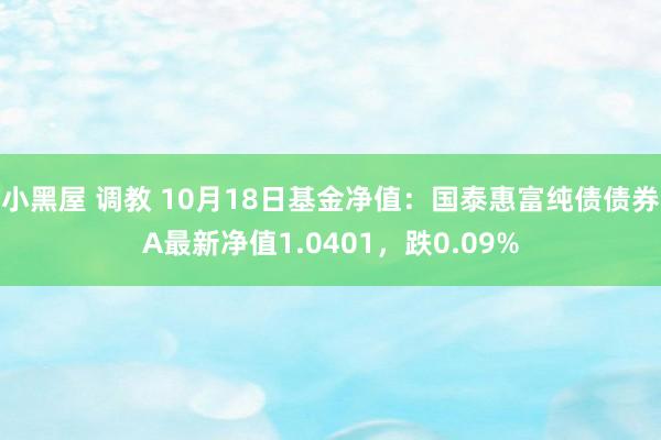 小黑屋 调教 10月18日基金净值：国泰惠富纯债债券A最新净值1.0401，跌0.09%