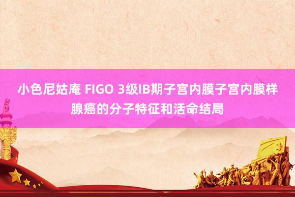 小色尼姑庵 FIGO 3级IB期子宫内膜子宫内膜样腺癌的分子特征和活命结局