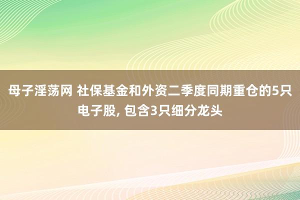 母子淫荡网 社保基金和外资二季度同期重仓的5只电子股, 包含3只细分龙头