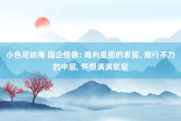 小色尼姑庵 国企怪像: 唯利是图的表层, 施行不力的中层, 怀恨满满底层