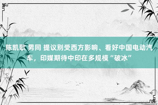 陈凯歌 男同 提议别受西方影响、看好中国电动汽车，印媒期待中印在多规模“破冰”