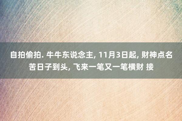 自拍偷拍. 牛牛东说念主, 11月3日起, 財神点名苦日子到头, 飞来一笔又一笔横财 接