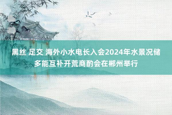 黑丝 足交 海外小水电长入会2024年水景况储多能互补开荒商酌会在郴州举行