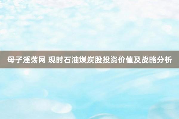 母子淫荡网 现时石油煤炭股投资价值及战略分析