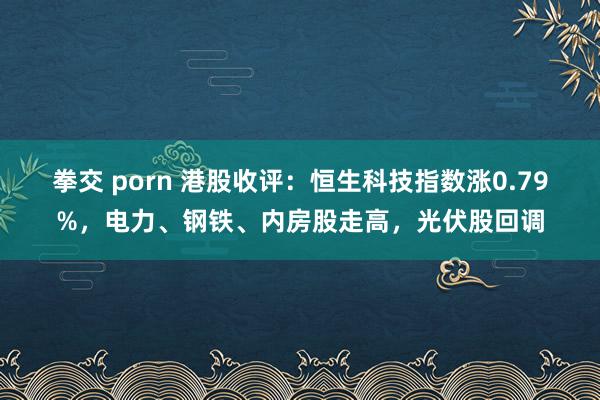 拳交 porn 港股收评：恒生科技指数涨0.79%，电力、钢铁、内房股走高，光伏股回调