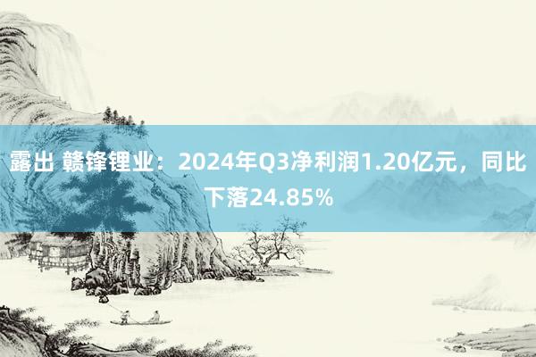 露出 赣锋锂业：2024年Q3净利润1.20亿元，同比下落24.85%