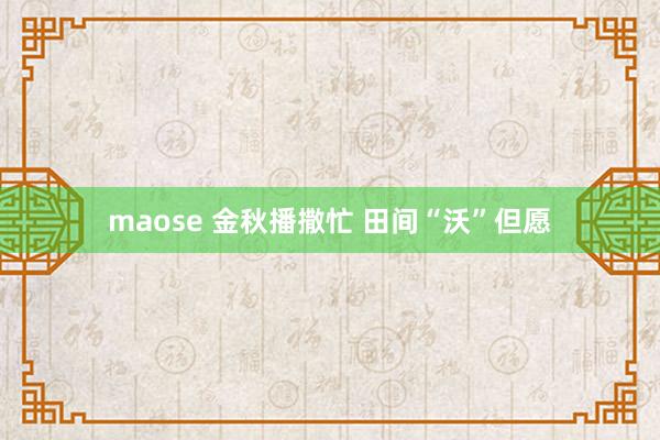 maose 金秋播撒忙 田间“沃”但愿