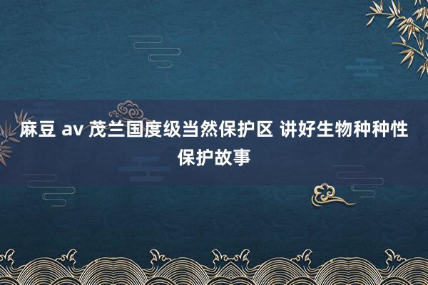 麻豆 av 茂兰国度级当然保护区 讲好生物种种性保护故事