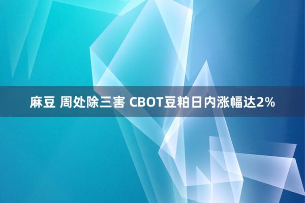 麻豆 周处除三害 CBOT豆粕日内涨幅达2%