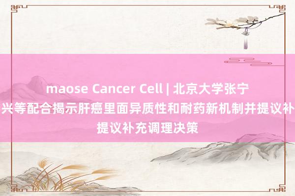 maose Cancer Cell | 北京大学张宁/吴健民/杨兴等配合揭示肝癌里面异质性和耐药新机