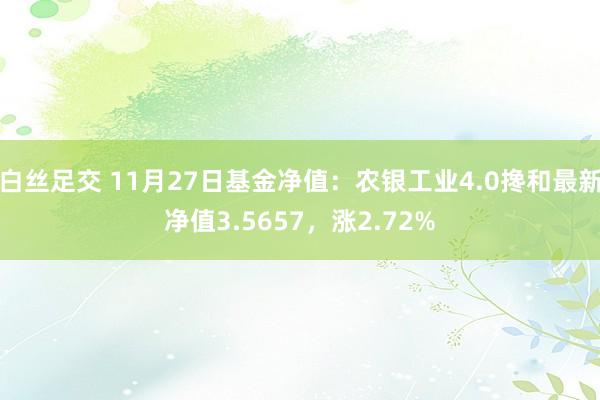 白丝足交 11月27日基金净值：农银工业4.0搀和最新净值3.5657，涨2.72%