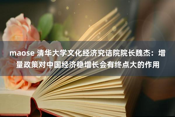 maose 清华大学文化经济究诘院院长魏杰：增量政策对中国经济稳增长会有终点大的作用