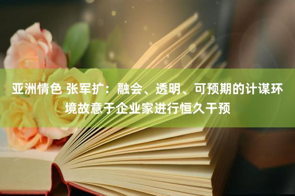 亚洲情色 张军扩：融会、透明、可预期的计谋环境故意于企业家进行恒久干预