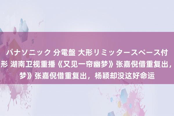 パナソニック 分電盤 大形リミッタースペース付 露出・半埋込両用形 湖南卫视重播《又见一帘幽梦》张嘉