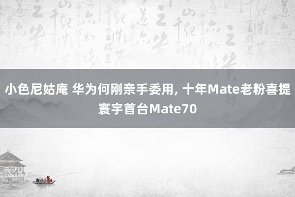 小色尼姑庵 华为何刚亲手委用, 十年Mate老粉喜提寰宇首台Mate70