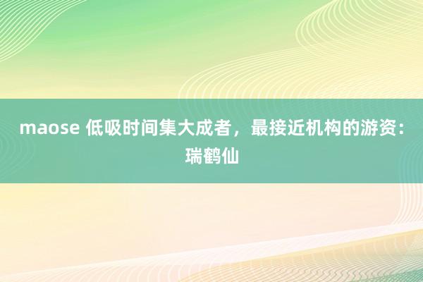 maose 低吸时间集大成者，最接近机构的游资：瑞鹤仙