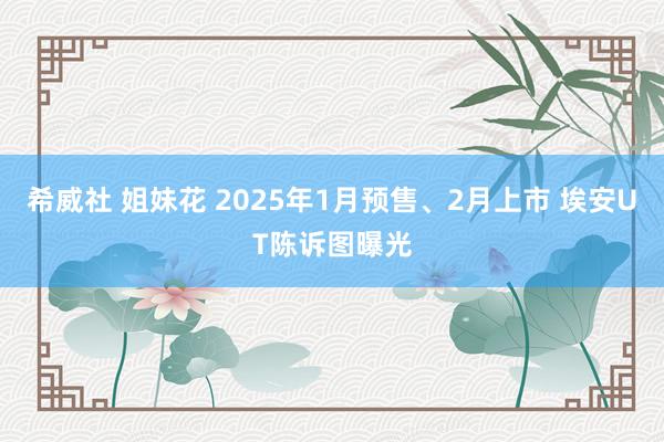 希威社 姐妹花 2025年1月预售、2月上市 埃安UT陈诉图曝光