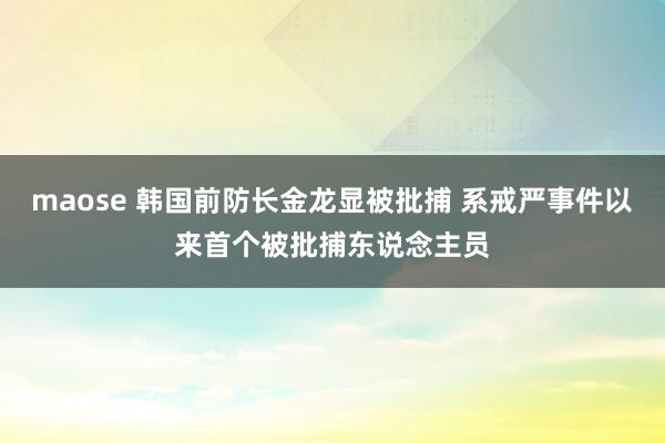 maose 韩国前防长金龙显被批捕 系戒严事件以来首个被批捕东说念主员