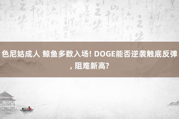 色尼姑成人 鲸鱼多数入场! DOGE能否逆袭触底反弹， 阻难新高?