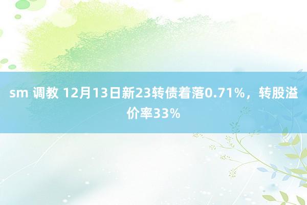 sm 调教 12月13日新23转债着落0.71%，转股溢价率33%