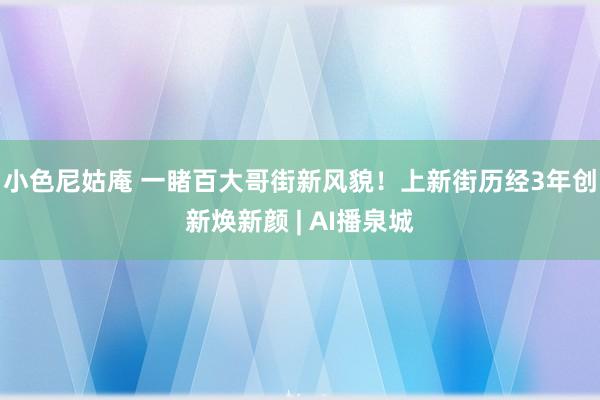 小色尼姑庵 一睹百大哥街新风貌！上新街历经3年创新焕新颜 | AI播泉城