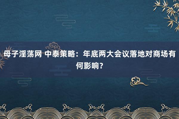 母子淫荡网 中泰策略：年底两大会议落地对商场有何影响？