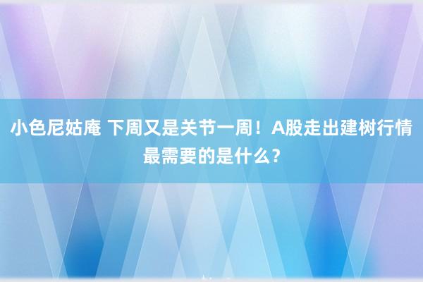 小色尼姑庵 下周又是关节一周！A股走出建树行情最需要的是什么？